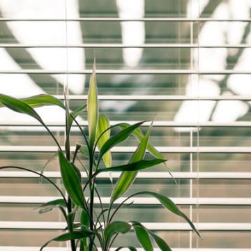 Tuinkamer inrichten